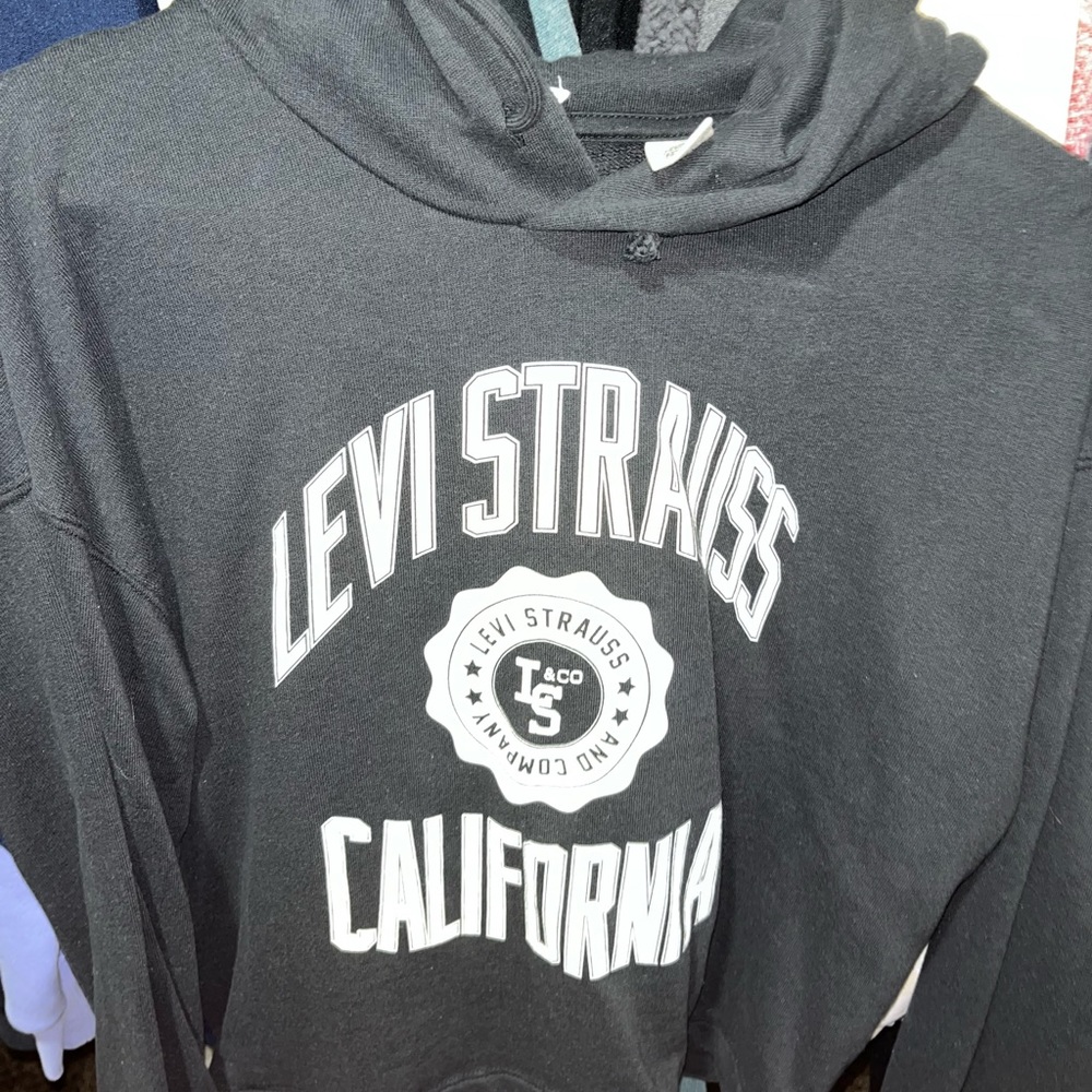 Cropped Levi hoodie